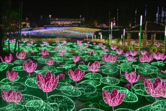 【東南植物楽園】ひかりの散歩道2020－2021 ・沖縄県最大280万球の輝き！南国イルミネーションを開催
